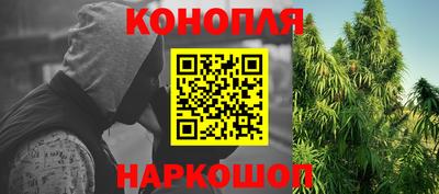 крисы Будённовск
