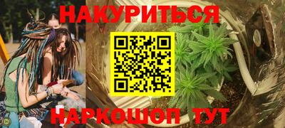 крисы Будённовск