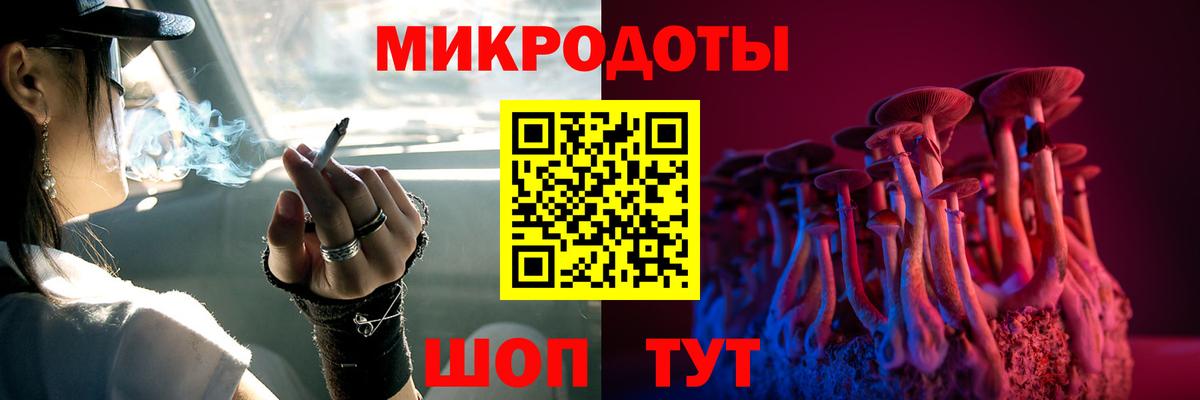 Галлюциногенные грибы Psilocybine cubensis  Вход с VPN  Псилоцибиновые грибы Cubensis  Приморско-Ахтарск 